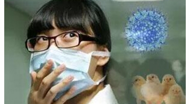 可怕有加!h7n9潜伏期最长7天 已缩短至3-4天