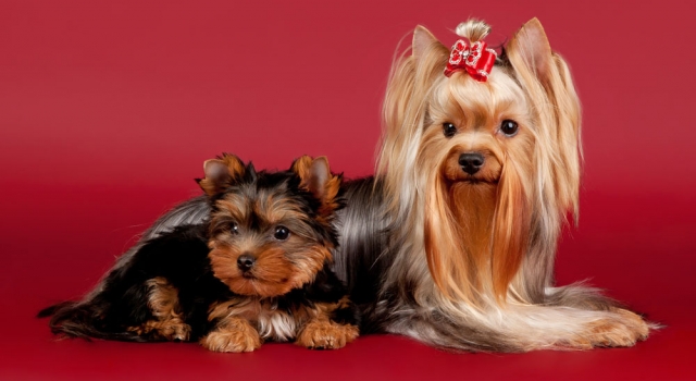 我们要做一辈子的Best friends