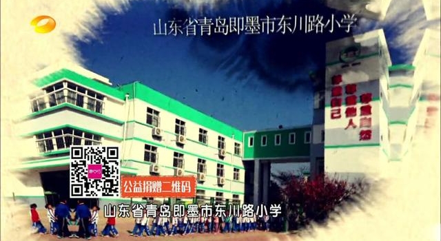 天天向上陷捐款门始末揭秘 天天向上毁过的女神盘点