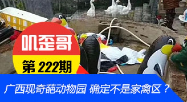 【叽歪哥 V0.222】广西现奇葩动物园 网友:确定不是家禽区?
