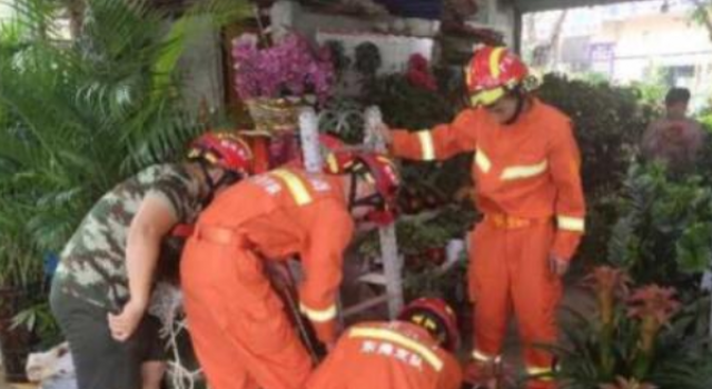 东莞排水渠现童尸 系此前失踪的三岁女童 家属已确认
