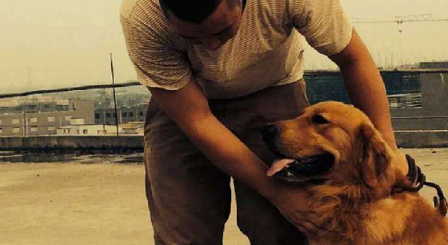 打死金毛犬被刑拘 老人在冲突中受伤住院 事情经过揭露