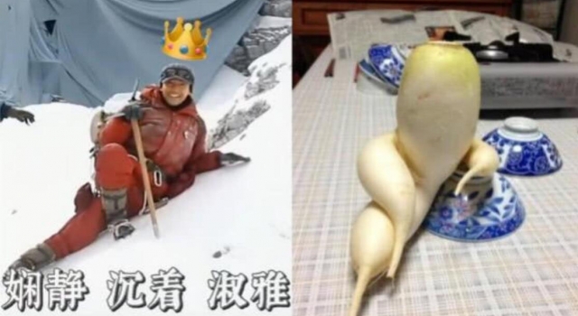 胡歌碰瓷式摔倒 成功get萝卜表情包同款姿势!