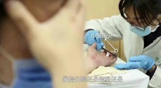 陶勇复诊再遇为他挡刀患者家属 网友:家属好样的