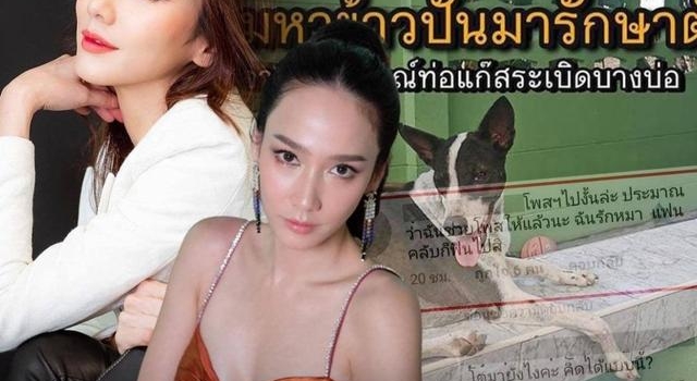 只帮狗,不帮人,泰星Aump因发表寻狗启事,引发粉丝纷纷脱饭