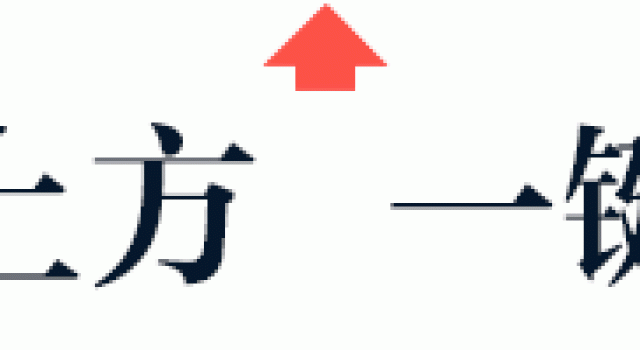 队长,别开枪,是我陈佩斯回来了