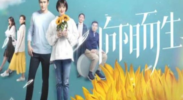 《向阳而生》大结局,或与电影版不一样,是一个幸福结局