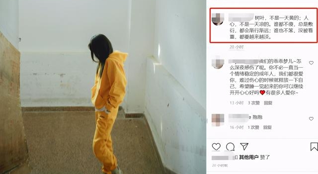 杨洋被性骚扰?沈梦辰杜海涛情变??陈晓被陈妍希栓牢?