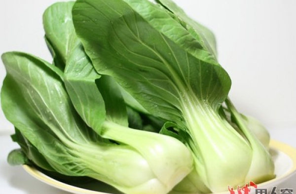 什么食物有助冬季男性排毒