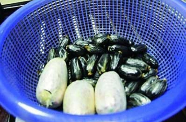 武汉一毒贩体内藏5000余颗麻果 吃饱排出60余枚毒蛋