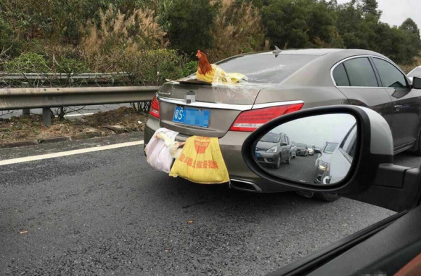 两鸭一鸡成网红：东莞轿车后备箱挂着鸡鸭跑高速