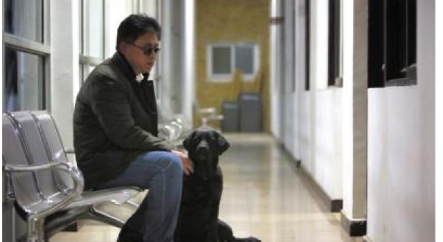北京导盲犬被送回身上现"求原谅"纸条 卖狗场每斤8元