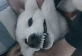 һֹ б˼ҵĹ