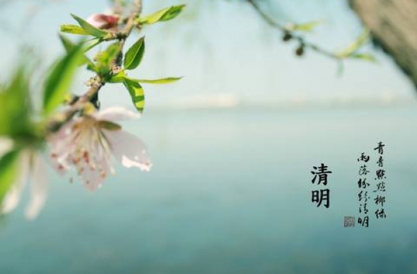 2016年清明节作文200字范文 享受着美好的时光