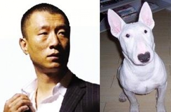 孙红雷调侃“犬版黄渤” 网友：小心渤哥咬你