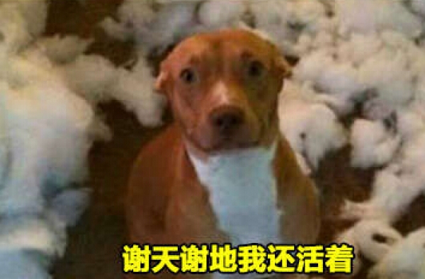 说起来你可能不信 我睡着睡着就突然爆炸了