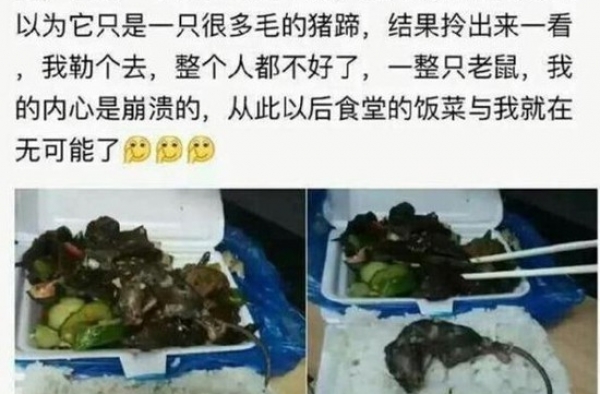 恶心!大学食堂饭菜吃出死老鼠 校方：辞退厨师将整改