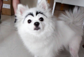 üë֮󣬹