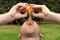 !Ľ Ǹ