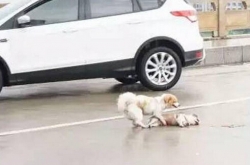 ĿݸСײ ͬ·ðزȥ