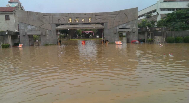 14号台风“莫兰蒂”夜袭厦门 天亮后街上一片狼藉