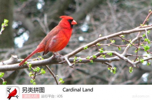 另类拼图游戏《Cardinal Land》详细介绍