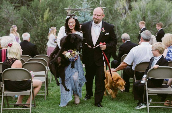 拉布拉多犬临终参加主人婚礼 过于虚弱伴娘抱着走过道