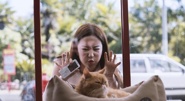 神仙姐姐不在线 刘亦菲晒搞怪剧照