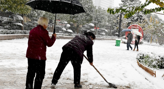 是谁在冬雪里蹒跚 85老母为扫雪女儿撑伞情暖大地