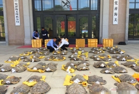 ���ز���ش���ϡҰ��������˽�� 4���ӷ���ץ��