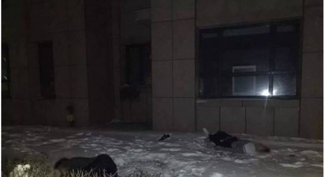 离奇！哈尔滨2男子坠楼身亡 2女子屋内死亡死因不明