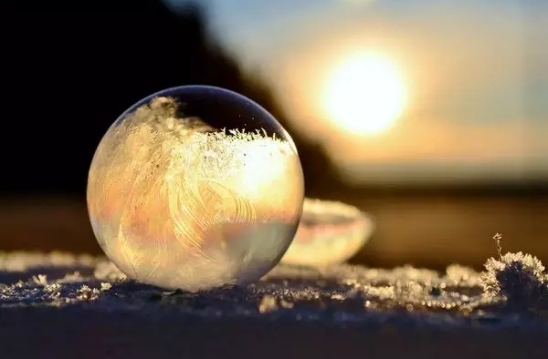 美爆了的冬日雪景 万朵冰花齐开放