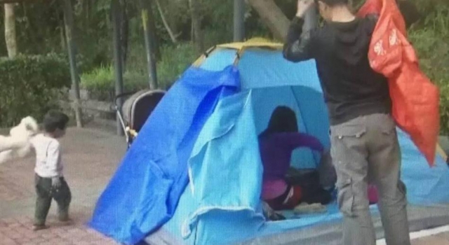 IT创业失败 深圳高学历夫妻带3岁娃住帐篷流浪街头