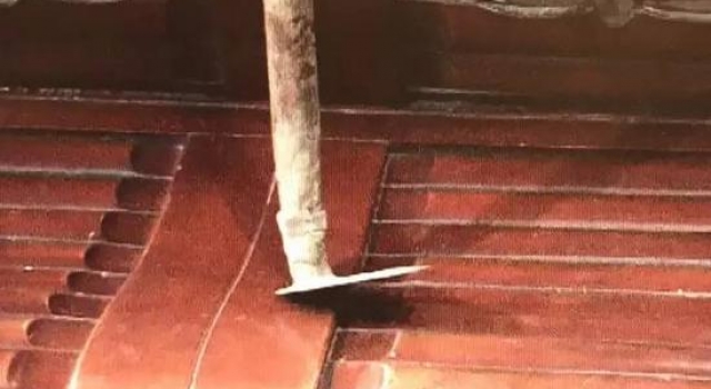 女子遭人恐吓 家中全是鲜血狗尸体被吊起