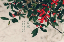 2017Ǽ¼ Щϰ㶼֪