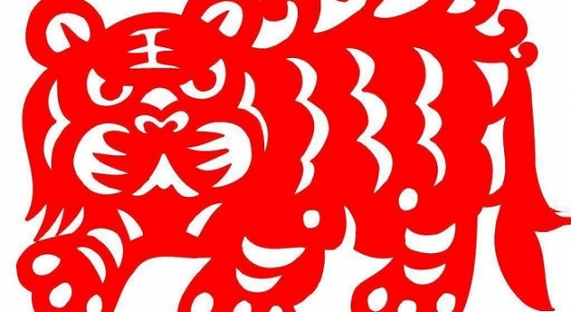 17岁患病女生自制剪纸词典 与病魔抗争八年依然乐观