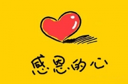 2017жǼ¼ ʵйҲԼĸжڡ