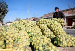 32010Ǯ 13Ǯũ˦