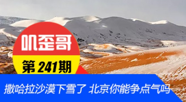 【叽歪哥 V0.241】撒哈拉沙漠下雪了 北京你能不能争点气！