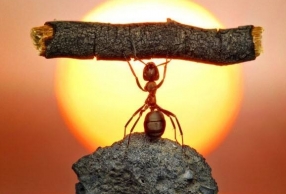 ��־���Ӿ�ѡ ��������ҪһЩ������