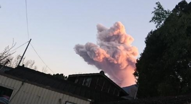 日本火山喷出粉红色猫 转发这只猫咪可以有好运气？