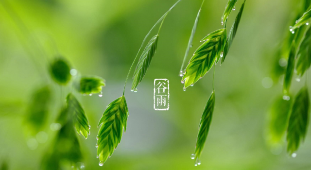 今日谷雨雨生百谷夏将至 谷雨吃什么好？