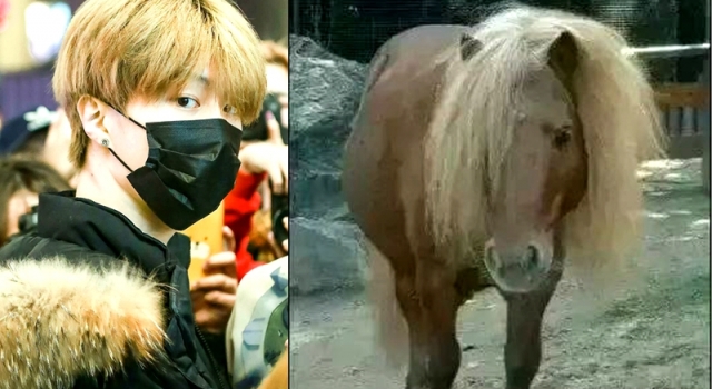 好多男生都是这三个发型 扎心的是你没它们帅！