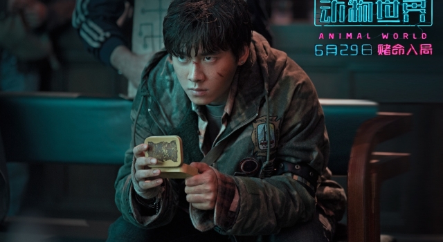 《动物世界》经典台词:顺风不浪，逆风不怂