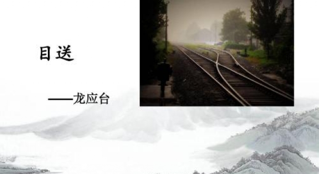《目送》佳文美句 凡是出于爱的急切都是可以原谅的