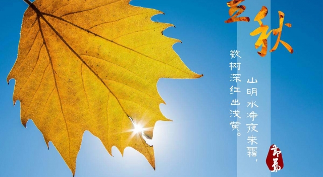 一叶梧桐一报秋，稻花田里话丰收! 立秋饮食有讲究,该吃什么来养生?