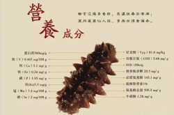都说海参健康养生功效大，吃海参真的有用吗？