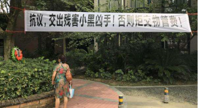 为狗挂花圈讨公道怎么回事 喂养8年的狗被乱棍打死 谁的责任？
