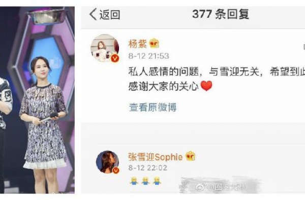 杨紫评论张雪迎引关注 直言私人感情与他问无关