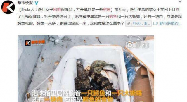 活久见！女子网购收到鳄鱼 还能再刺激一点吗？